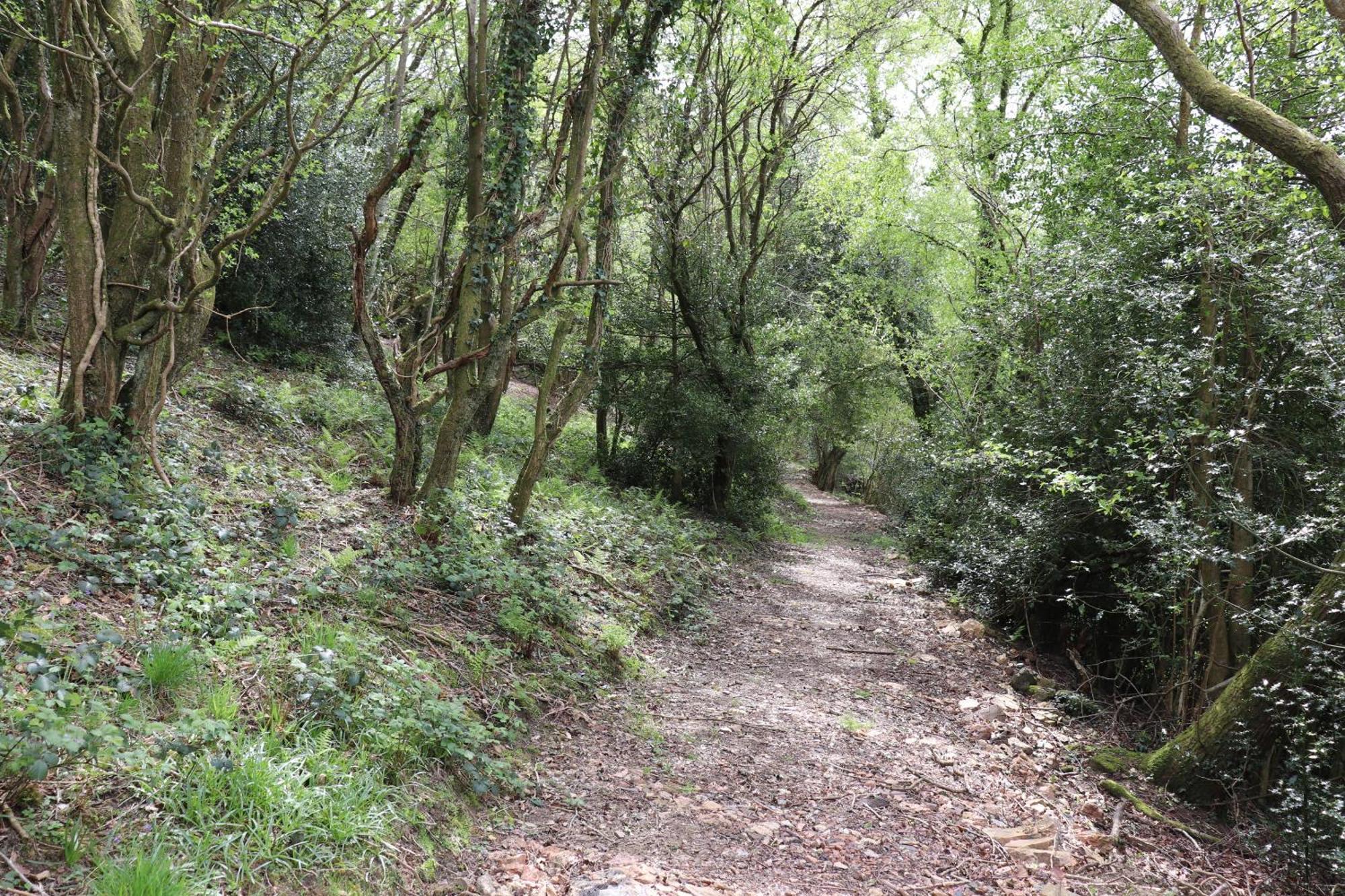 Tunnel Cottages At Blaen-Nant-Y-Groes Farm Aberdare Bagian luar foto